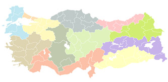 forecast